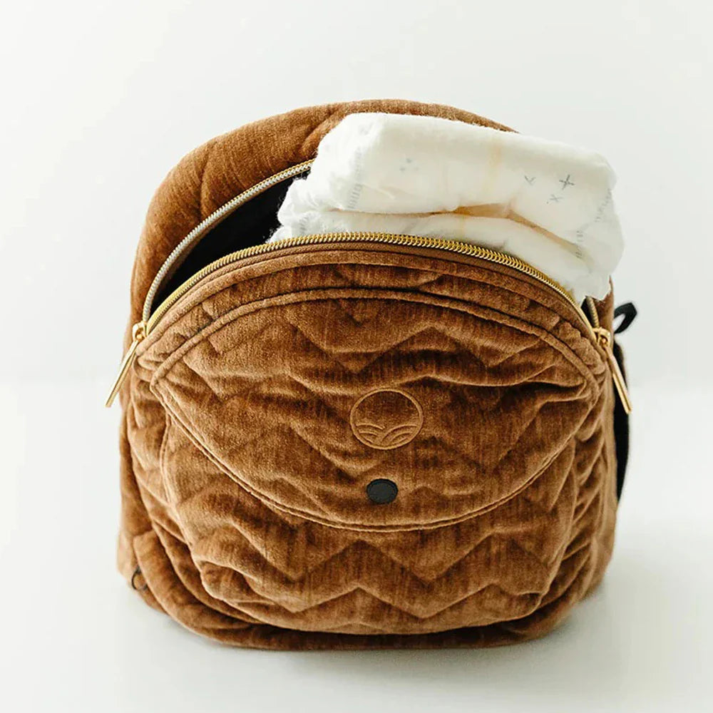 The Baby Hip Carrier